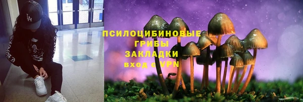 2c-b Липки