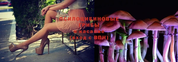 2c-b Липки