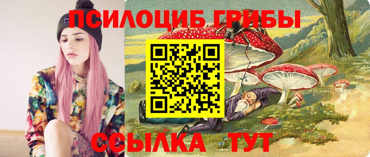 Псилоцибиновые грибы Psilocybe Морозовск